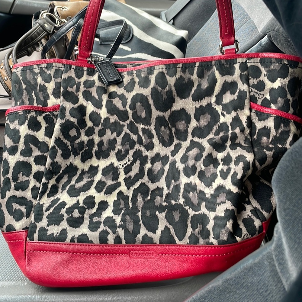 Beautiful leopard print Coach bag